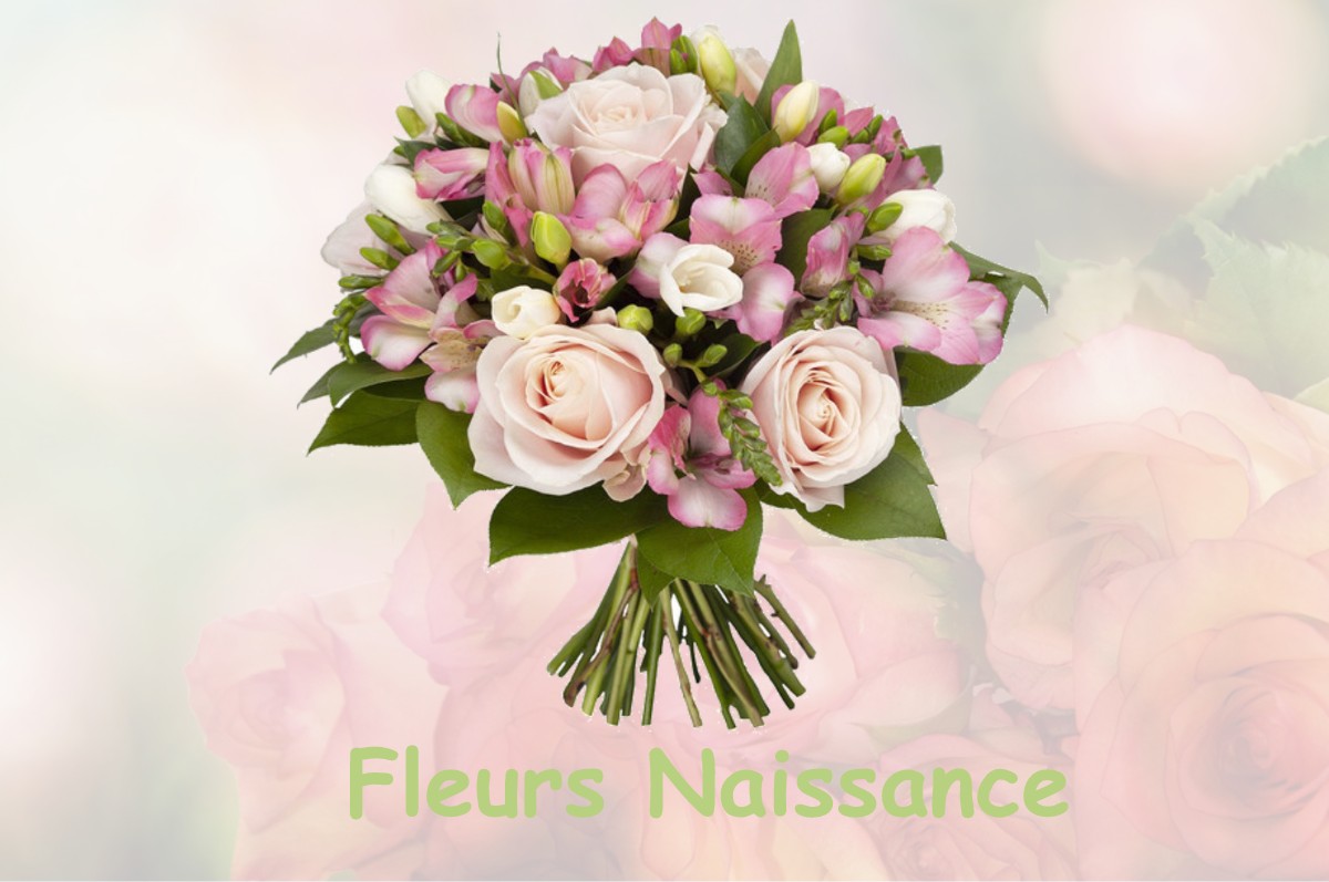 fleurs naissance MAURE-DE-BRETAGNE